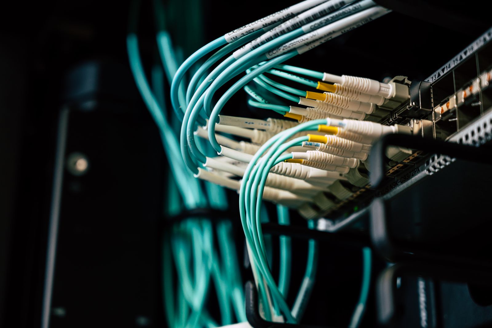 Network cables connected to professional infrastructure
