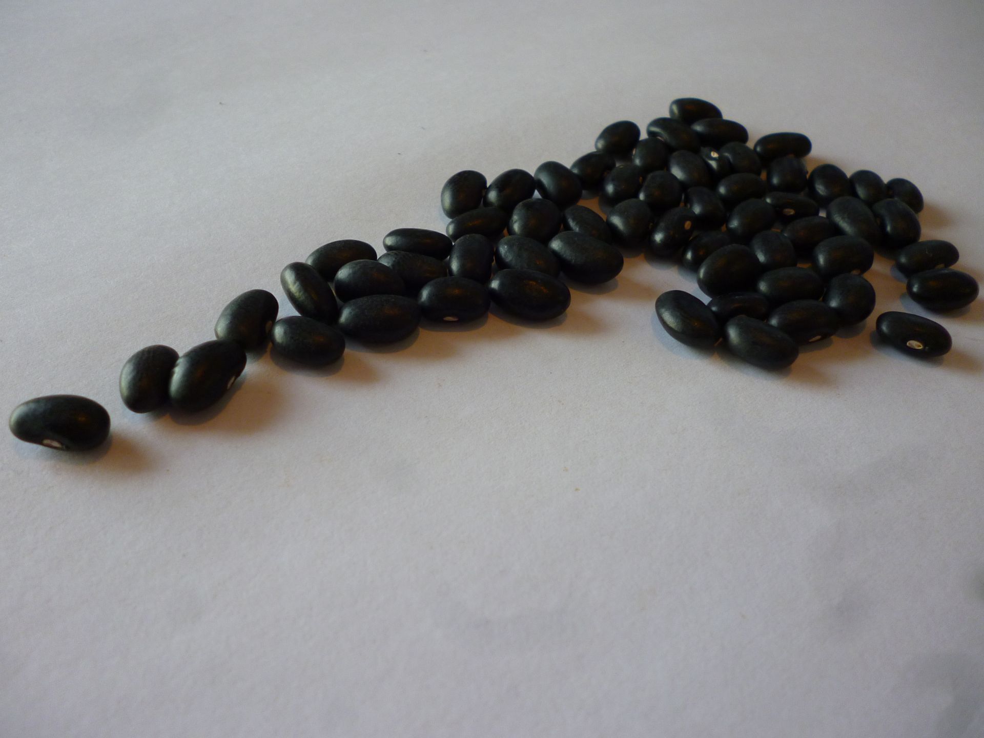 Black round beans presented for export