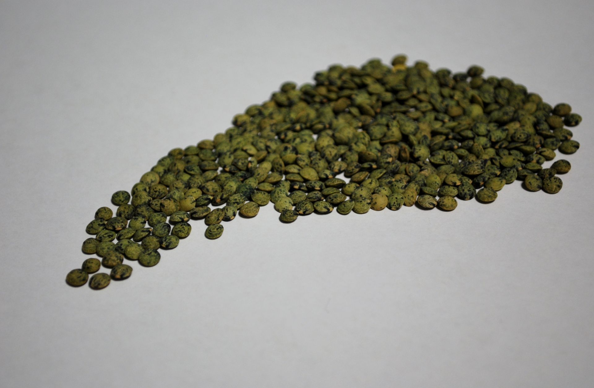 Puy lentils presented for export